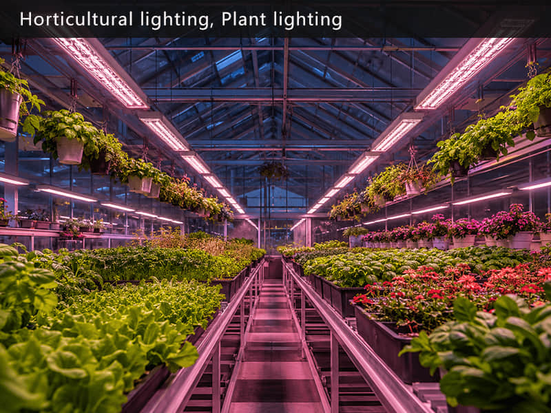 Horticultural lighting, Plant lighting